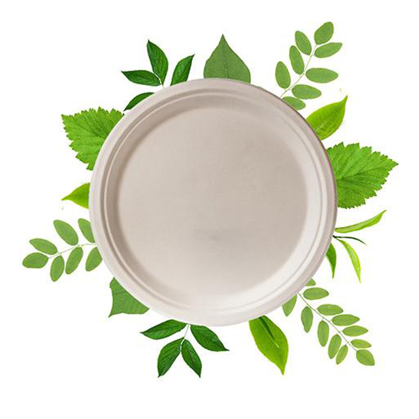 Biodegradable 26cm Round Plate » King Pack