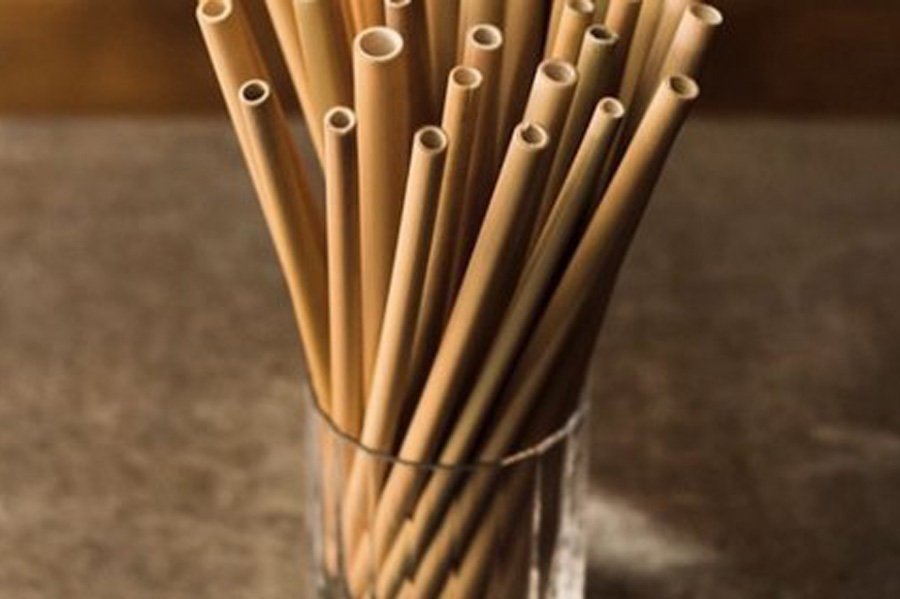 eco-friendly-straws-products-king-pack-eco-friendly-sustainable-biodegradable-takeaway-food-packaging-supplier-south-africa