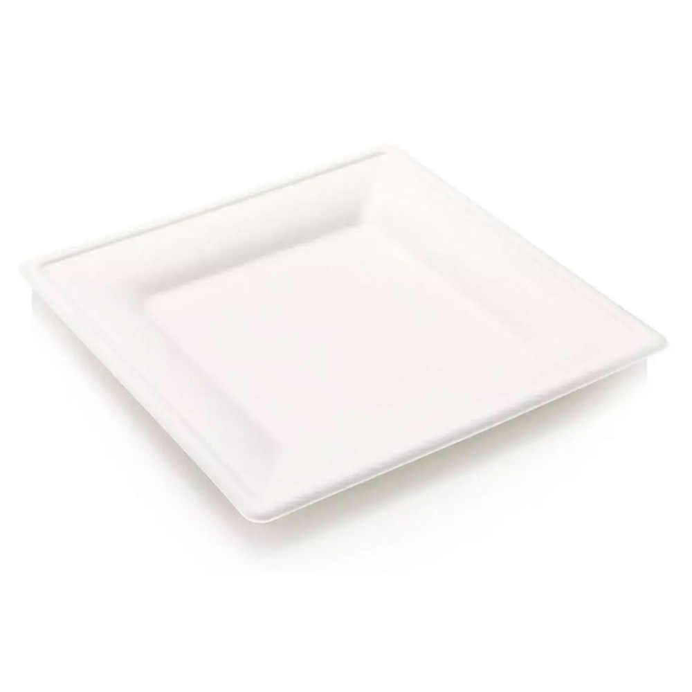 Biodegradable-26cm-Square-Plate-BGS0020