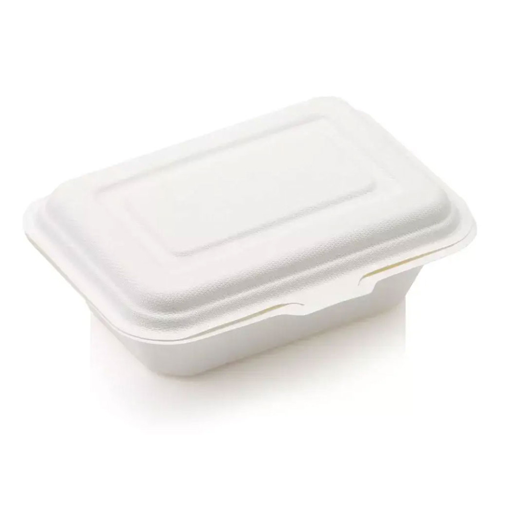 Biodegradable-600ml-Single-Compartment-Clamshell-BGS0001