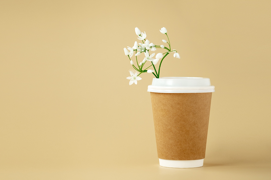 Biodegradable Coffee Cups