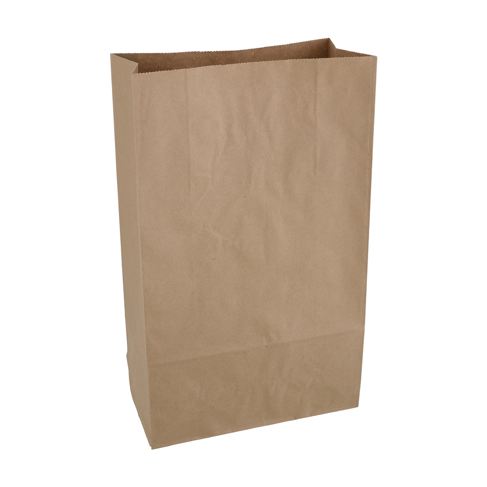Large Shopper Brown Paper Bag (250)